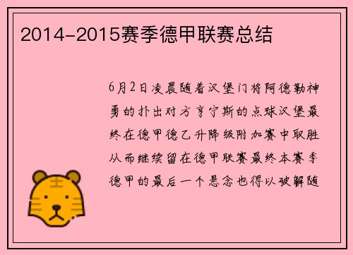 2014-2015赛季德甲联赛总结